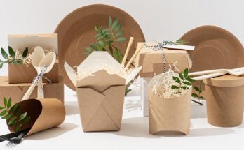 Sustainable Packaging Market