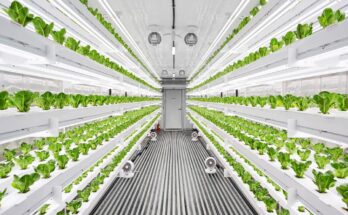 Vertical Farming Systems & Modules Market