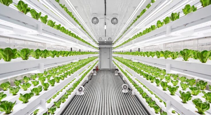 Vertical Farming Systems & Modules Market