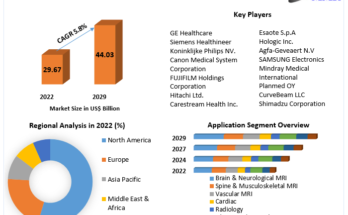 Diagnostic Imaging Market