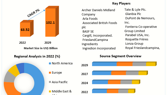 Health Ingredients Market