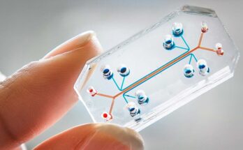 Organ-On-Chip Market