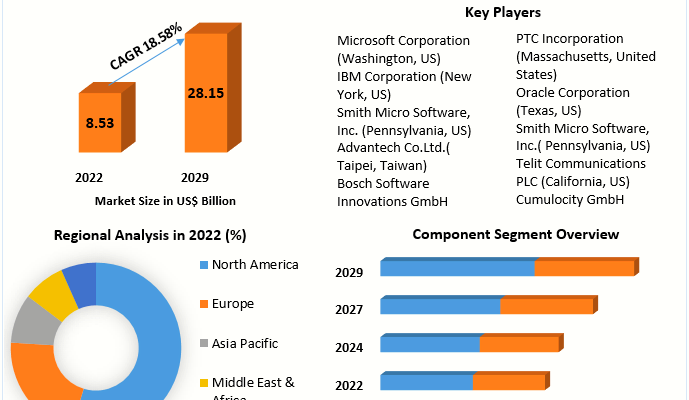 IoT Device Management Market