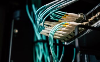 Network Switches Market