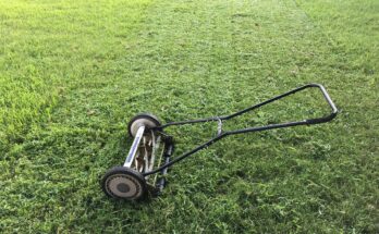 push lawn mowers market