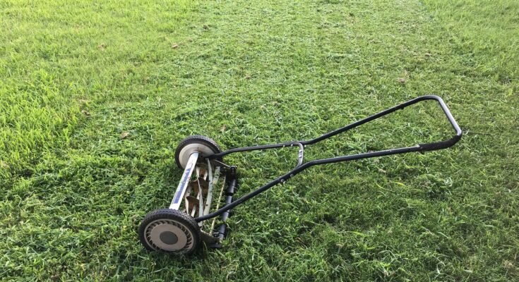 push lawn mowers market