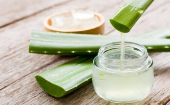 Aloe Vera Extract Market