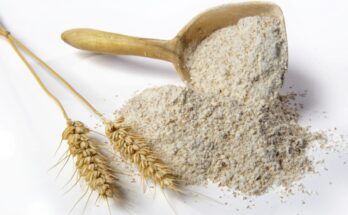 Barley Flour Market