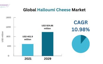 Halloumi Cheese Market