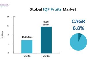 IQF Fruits Market