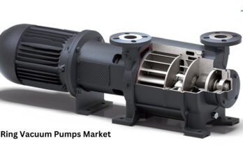 Liquid Ring Vacuum Pumps Market