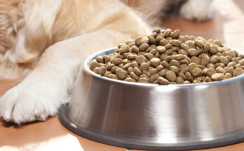 Pet Food Treats Market