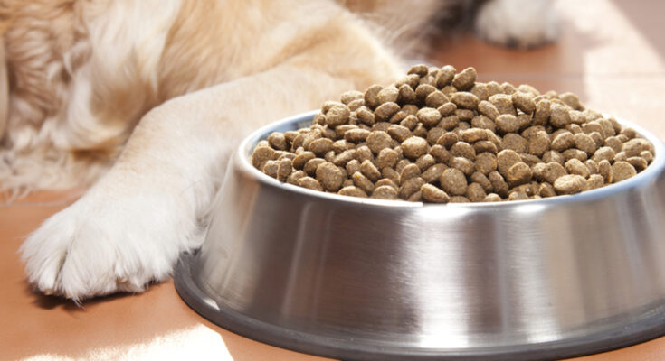 Pet Food Treats Market