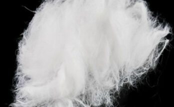 Polyester Staple Fiber Market