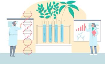 Single-Cell Genome Sequencing Market Size