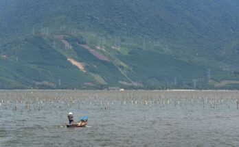 Aquaculture Market