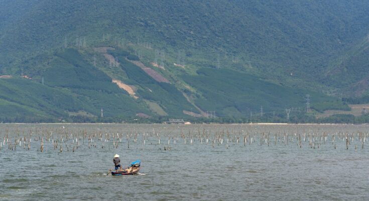 Aquaculture Market