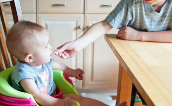 Baby Food Market