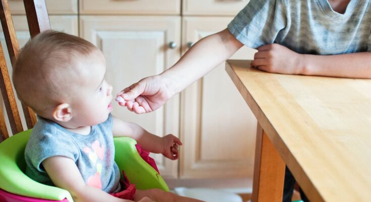 Baby Food Market