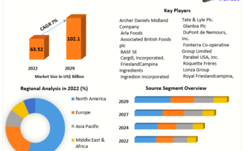 Health Ingredients Market