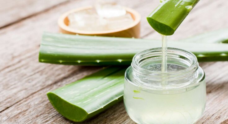 Aloe Vera Extract Market