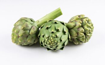 Artichokes Market Size