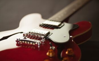 Electric Guitar Market