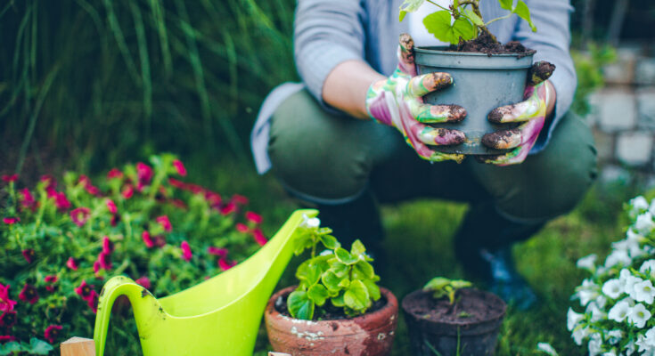 Gardening Pots Market