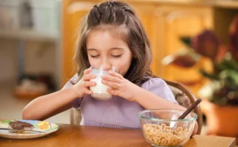 India Breakfast Cereal Market