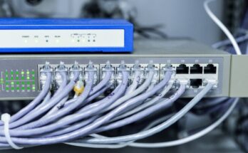 Network Switches Market