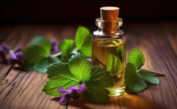 Patchouli Oil Market