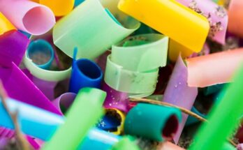 Plastics And Rubber Products Market