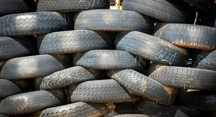 Port & Industrial Tire Market