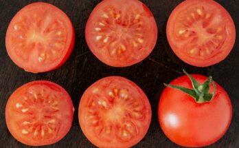 Tomato Seeds Market