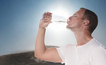 Edible Water Bottles Market