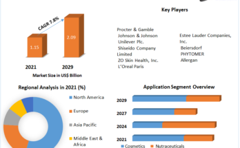 Anti-Aging Ingredients Market