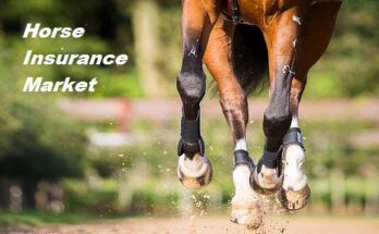 Global Horse Insurance Market