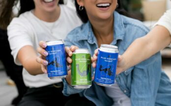 North America Hard Seltzer Market