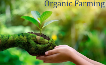 Saudi Arabia Organic Farming Market stood at USD 10.61 Million in 2023 & will grow with a CAGR of 7.88% through 2029. Sample Report.