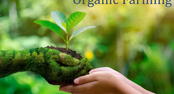 Saudi Arabia Organic Farming Market stood at USD 10.61 Million in 2023 & will grow with a CAGR of 7.88% through 2029. Sample Report.