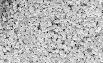 Amorphous Polypropylene Terephthalate Market