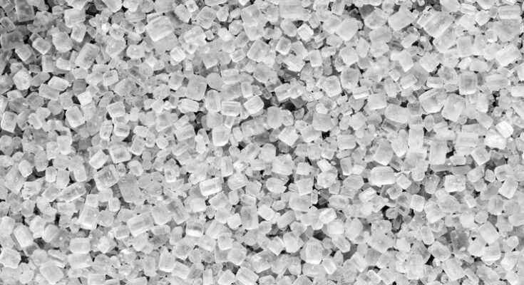 Amorphous Polypropylene Terephthalate Market