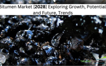 Global Bitumen Market stood at USD 55.62 billion in 2022 and is expected to grow with a CAGR of 3.76% in the forecast period, 2023-2028.