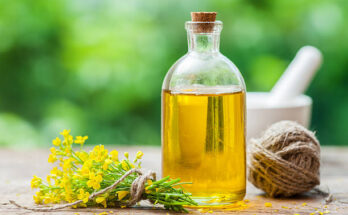 Canola Oil Market