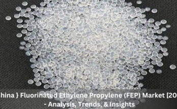 China Fluorinated Ethylene Propylene (FEP) Market stood at USD80.36 million in 2022 and will grow with a CAGR of 4.35% in the forecast.