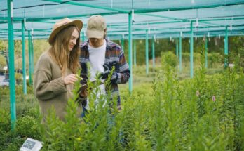 Digital Farming Market