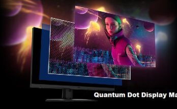 Global Quantum Dot Display Market