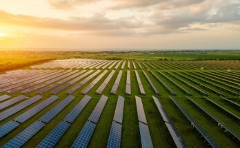 Global Solar Farm Market