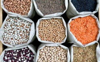 Hybrid Seeds Market