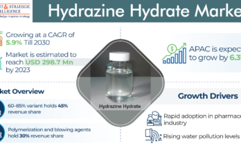 Hydrazine Hydrate Market